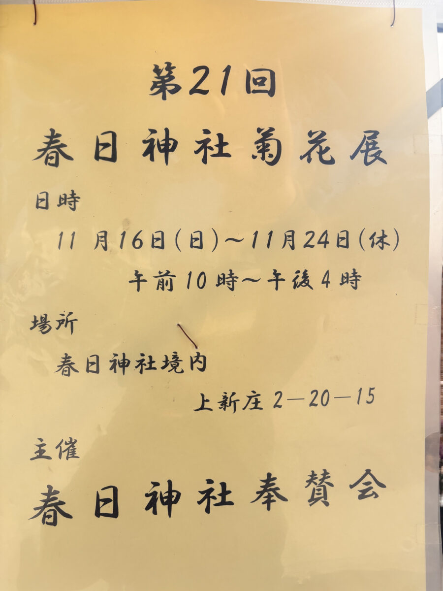 第21回春日神社菊花展の案内